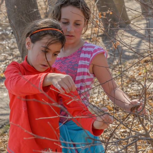 Photo of children exploring the outdoors