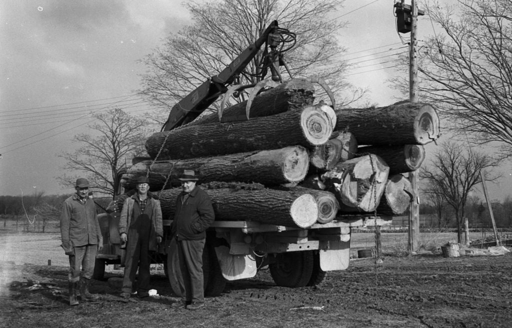 Image of krug brothers in front of truck filled with large tree logs