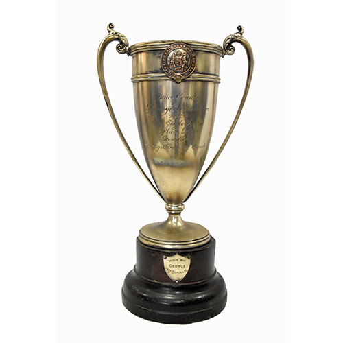 Silver trophy on wooden base