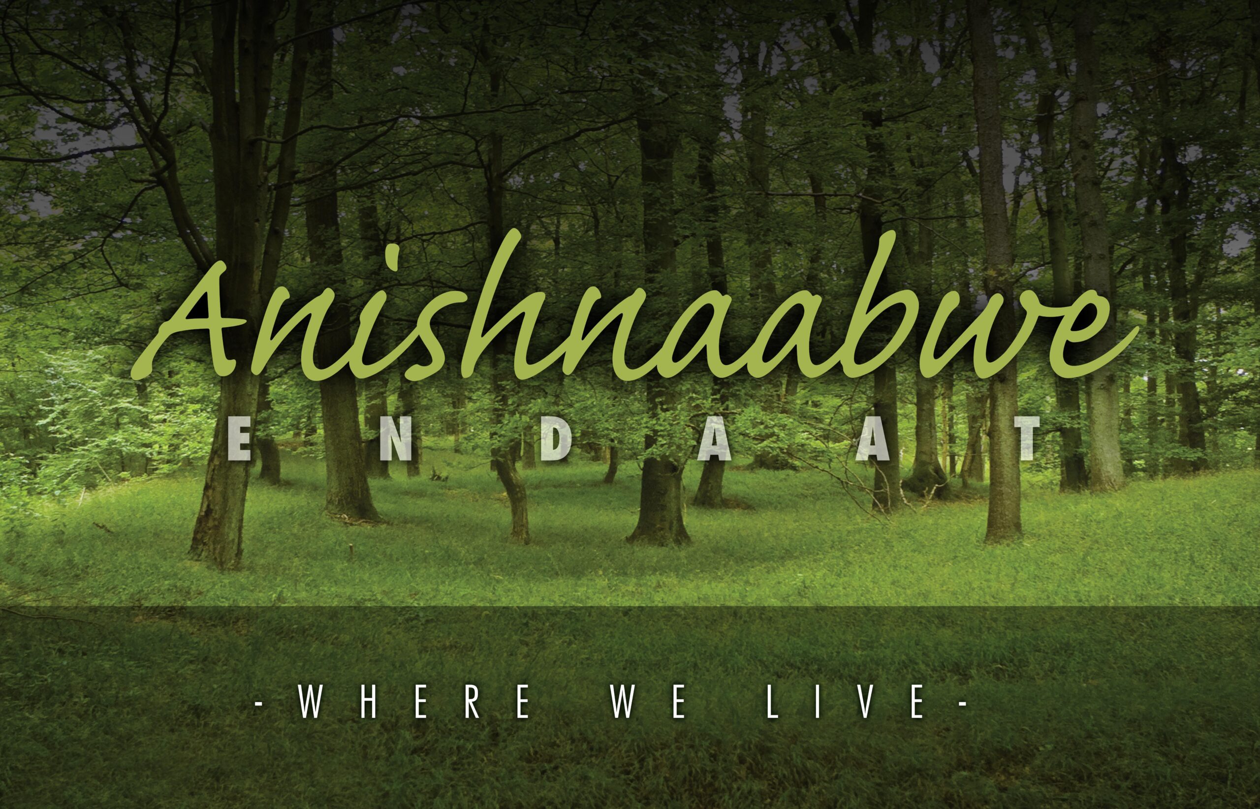 Graphic of a forest with the words "Anishnaabwe Endaat - Where we Live" on it