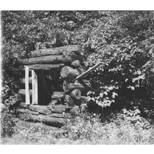 Photo of log building structure surrounded by bushes.
