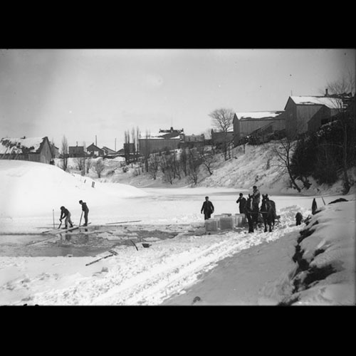 Men ice harvesting with horse team