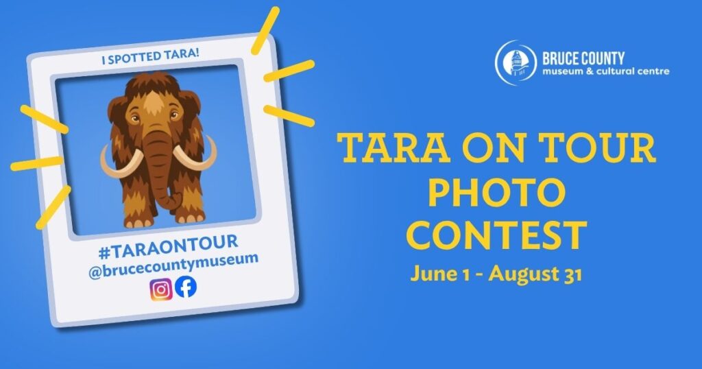 Tara on Tour Photo Contest