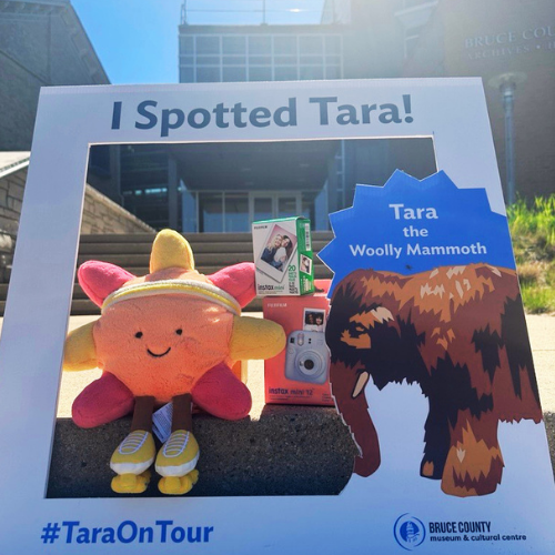 Tara on Tour Photo Contest