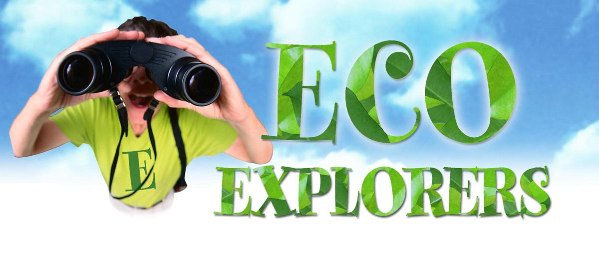 Eco Explorers logo featuring a child looking through binoculars beside the words “Eco Explorers” in green leaf-patterned lettering against a blue sky background.